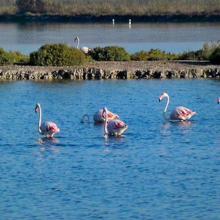 Apartamento Salamanca 4 Santa Pola Bagian luar foto